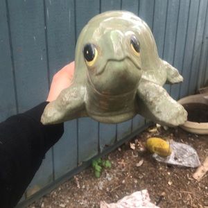 He needs a home, Cute little turtle but I got at the Goodwill